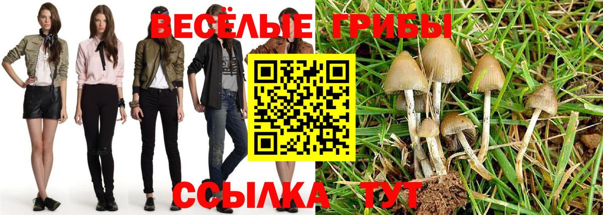 Псилоцибиновые грибы мицелий  где купить наркотик  Кимовск  Вход с VPN 