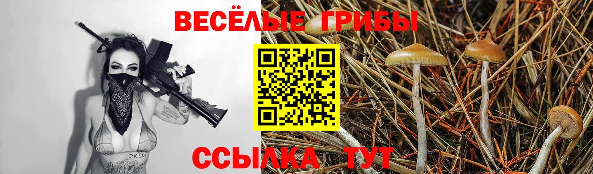 Галлюциногенные грибы MAGIC MUSHROOMS Кимовск